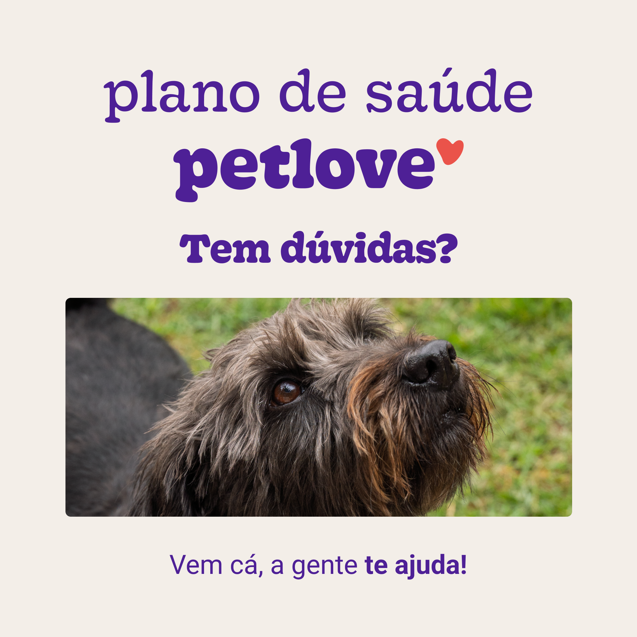 Dúvidas-1