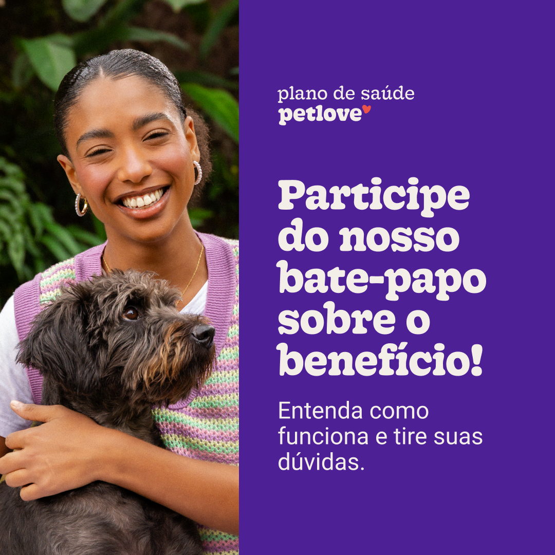 live lançamento-1