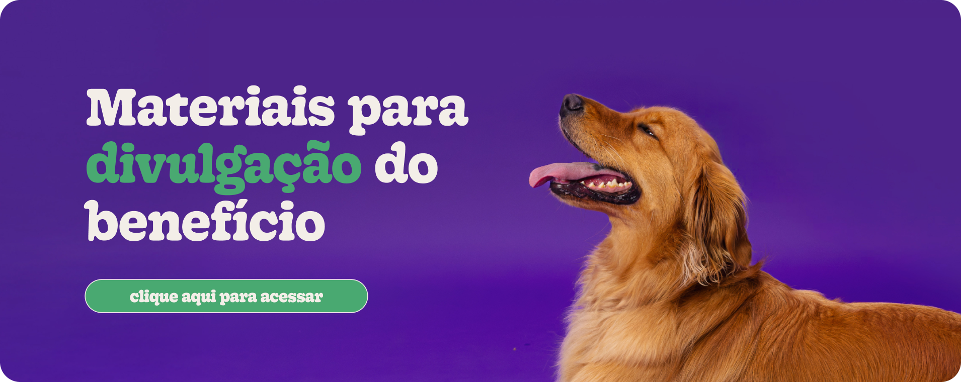 banner materiais divulgação